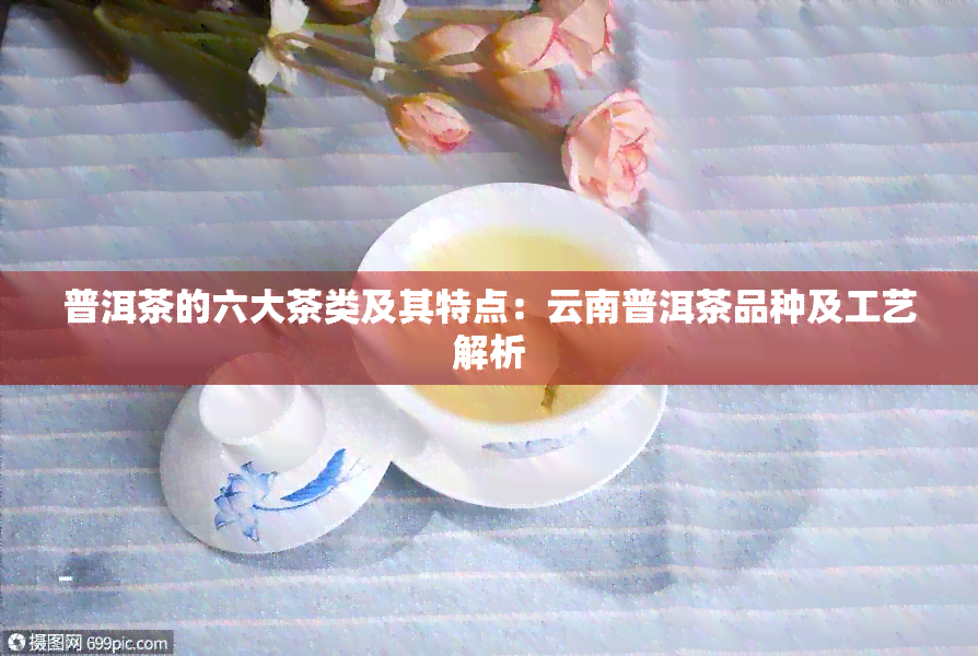 普洱茶的六大茶类及其特点：云南普洱茶品种及工艺解析