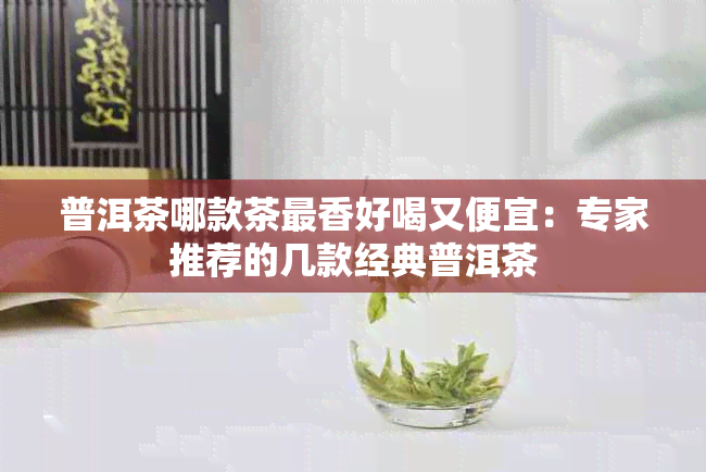 普洱茶哪款茶最香好喝又便宜：专家推荐的几款经典普洱茶