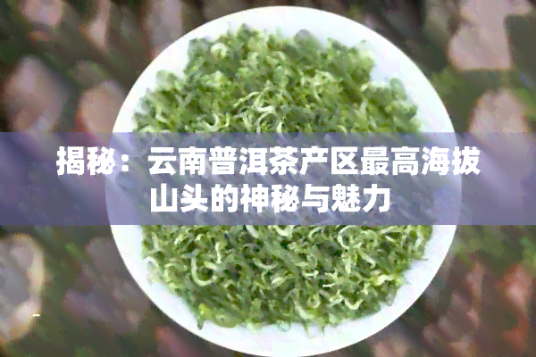 揭秘：云南普洱茶产区更高海拔山头的神秘与魅力