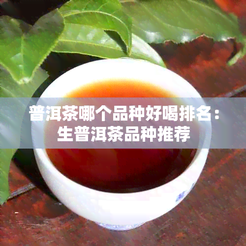 普洱茶哪个品种好喝排名：生普洱茶品种推荐