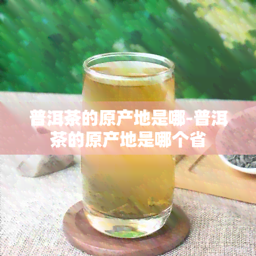 普洱茶的原产地是哪-普洱茶的原产地是哪个省