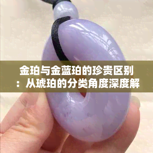 金珀与金蓝珀的珍贵区别：从琥珀的分类角度深度解析