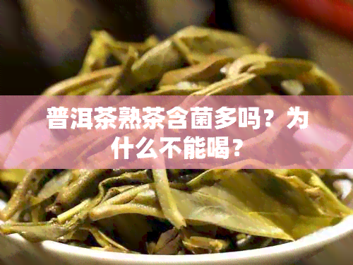 普洱茶熟茶含菌多吗？为什么不能喝？