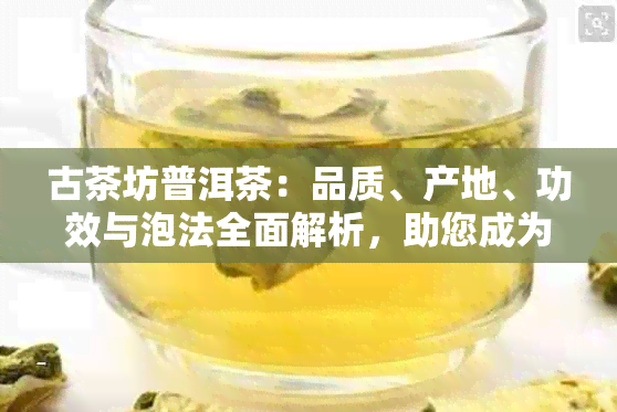 古茶坊普洱茶：品质、产地、功效与泡法全面解析，助您成为普洱茶专家