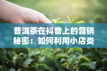 普洱茶在抖音上的营销秘密：如何利用小店类目和直播开通视频拍摄技巧