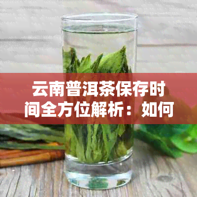 云南普洱茶保存时间全方位解析：如何有效长茶叶的保质期及保存方法