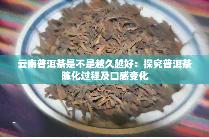 云南普洱茶是不是越久越好：探究普洱茶陈化过程及口感变化