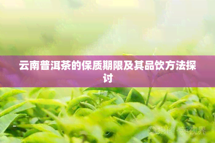 云南普洱茶的保质期限及其品饮方法探讨