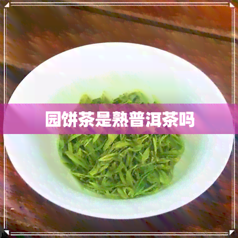 园饼茶是熟普洱茶吗