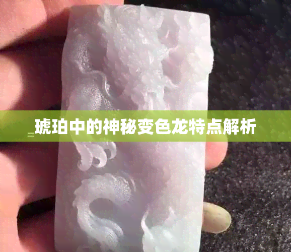 琥珀中的神秘变色龙特点解析