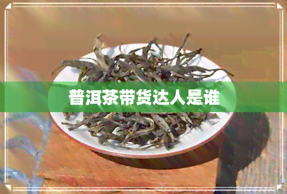 普洱茶带货达人是谁