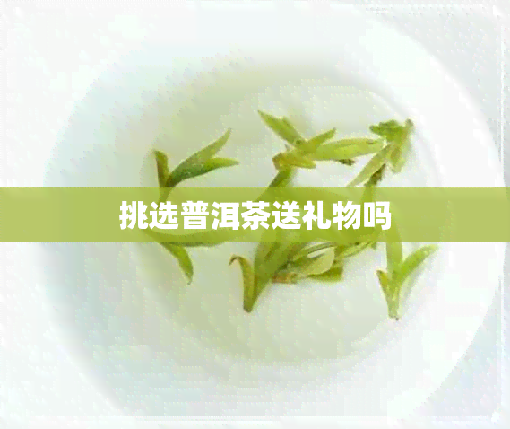 挑选普洱茶送礼物吗