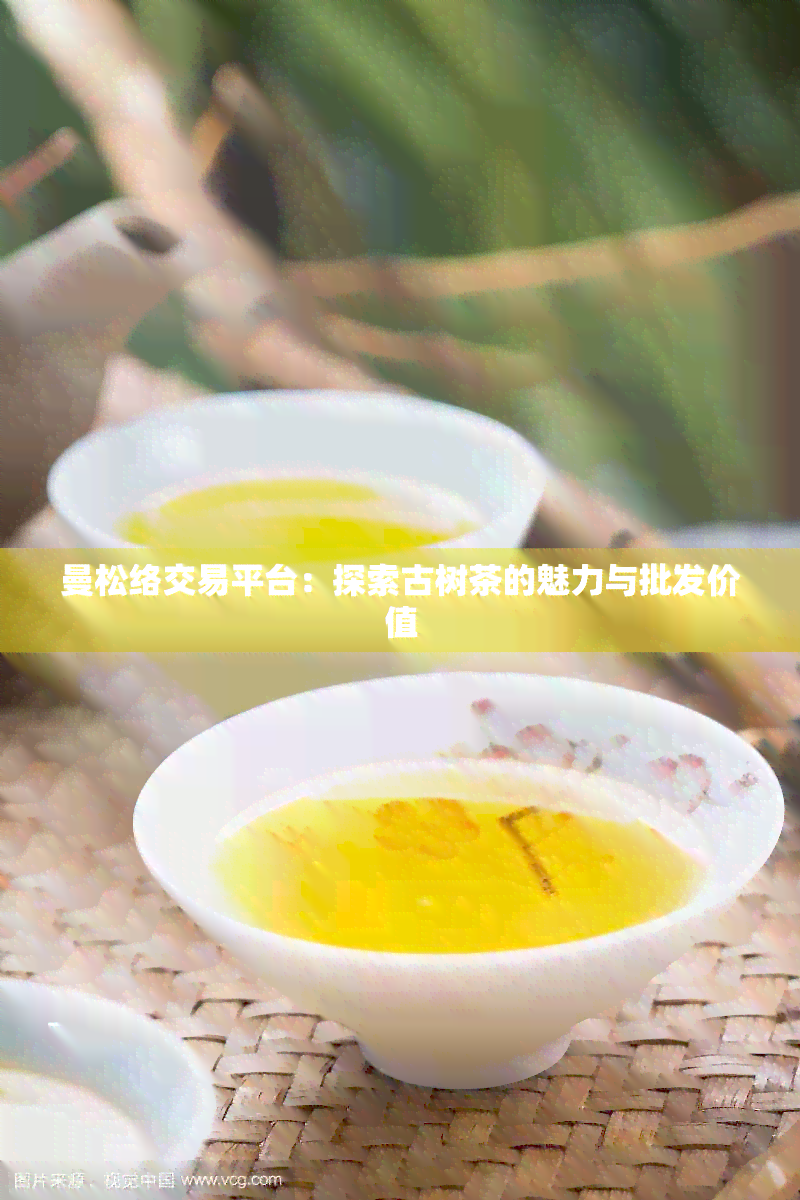 曼松络交易平台：探索古树茶的魅力与批发价值