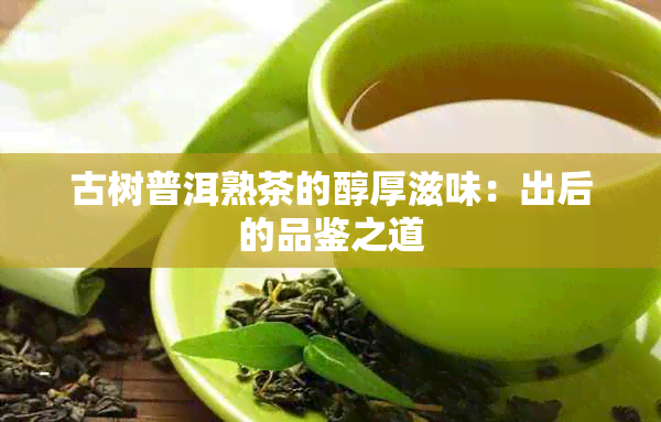 古树普洱熟茶的醇厚滋味：出后的品鉴之道