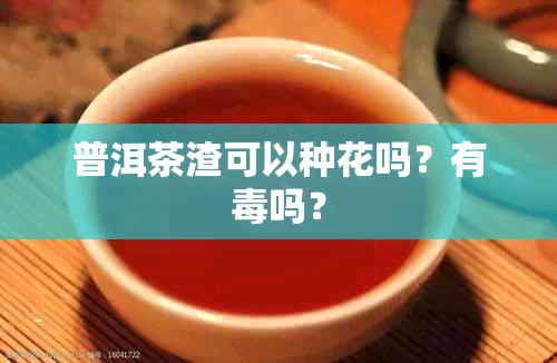 普洱茶渣可以种花吗？有吗？