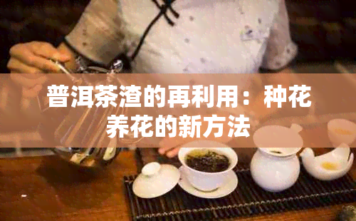 普洱茶渣的再利用：种花养花的新方法