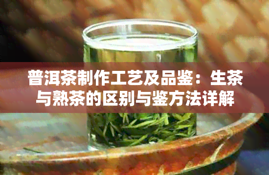 普洱茶制作工艺及品鉴：生茶与熟茶的区别与鉴方法详解