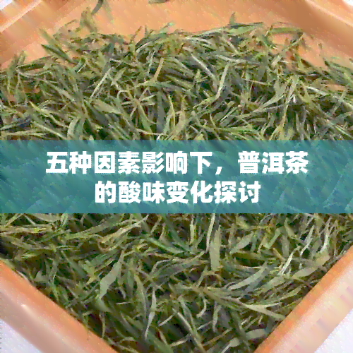 五种因素影响下，普洱茶的酸味变化探讨