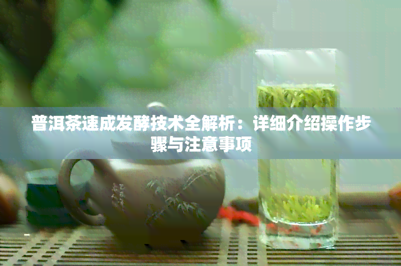 普洱茶速成发酵技术全解析：详细介绍操作步骤与注意事项