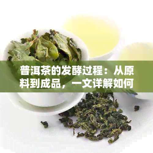 普洱茶的发酵过程：从原料到成品，一文详解如何制作熟成普洱茶