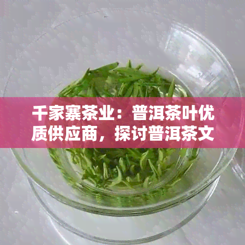 千家寨茶业：普洱茶叶优质供应商，探讨普洱茶文化与养生之道