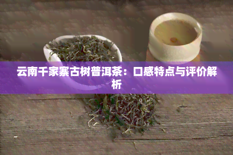 云南千家寨古树普洱茶：口感特点与评价解析