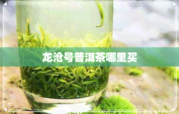 龙沧号普洱茶哪里买