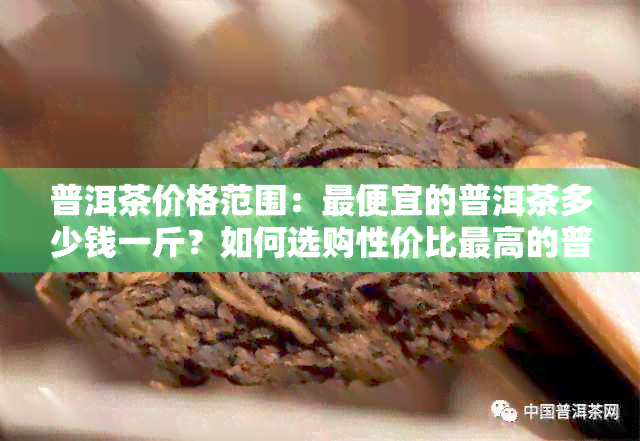 普洱茶价格范围：更便宜的普洱茶多少钱一斤？如何选购性价比更高的普洱茶？