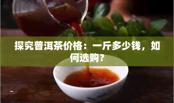 探究普洱茶价格：一斤多少钱，如何选购？