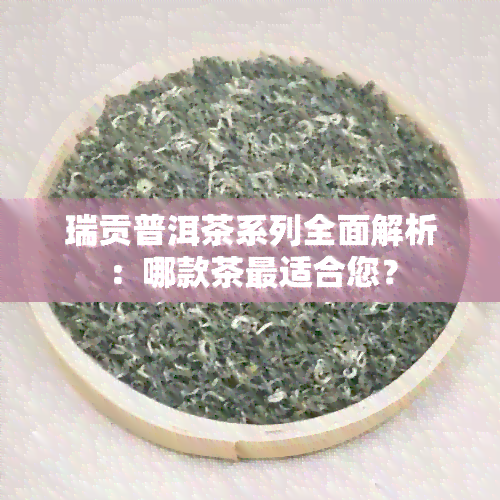 瑞贡普洱茶系列全面解析：哪款茶最适合您？