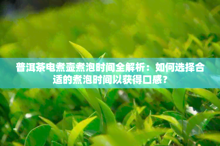 普洱茶电煮壶煮泡时间全解析：如何选择合适的煮泡时间以获得口感？