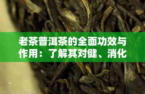 老茶普洱茶的全面功效与作用：了解其对健、消化、免疫等方面的益处