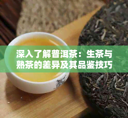 深入了解普洱茶：生茶与熟茶的差异及其品鉴技巧