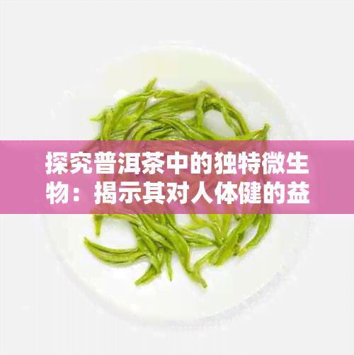 探究普洱茶中的独特微生物：揭示其对人体健的益处