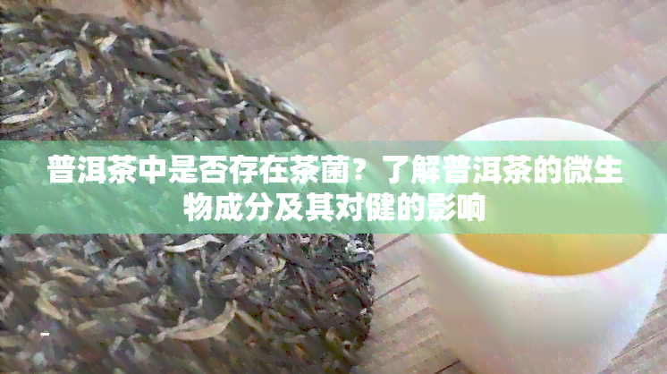 普洱茶中是否存在茶菌？了解普洱茶的微生物成分及其对健的影响