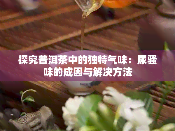 探究普洱茶中的独特气味：尿骚味的成因与解决方法