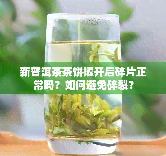 新普洱茶茶饼撬开后碎片正常吗？如何避免碎裂？