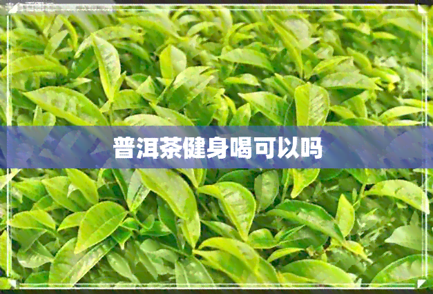 普洱茶健身喝可以吗