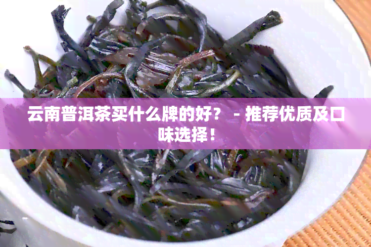 云南普洱茶买什么牌的好？ - 推荐优质及口味选择！