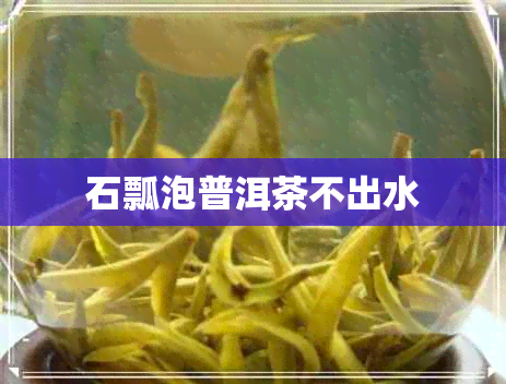 石瓢泡普洱茶不出水