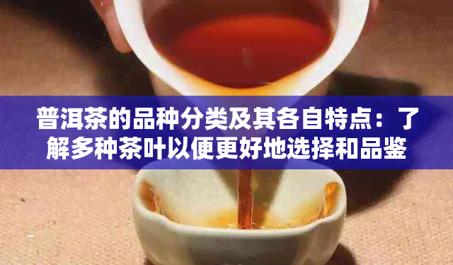 普洱茶的品种分类及其各自特点：了解多种茶叶以便更好地选择和品鉴