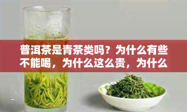 普洱茶是青茶类吗？为什么有些不能喝，为什么这么贵，为什么有的是绿茶？