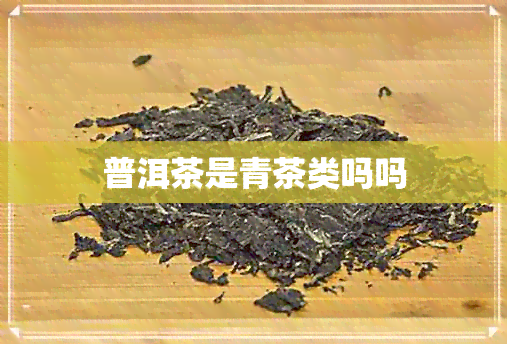 普洱茶是青茶类吗吗