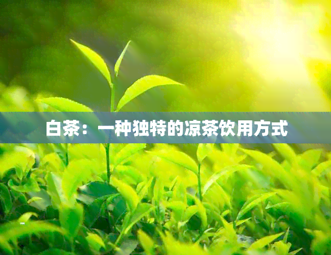 白茶：一种独特的凉茶饮用方式