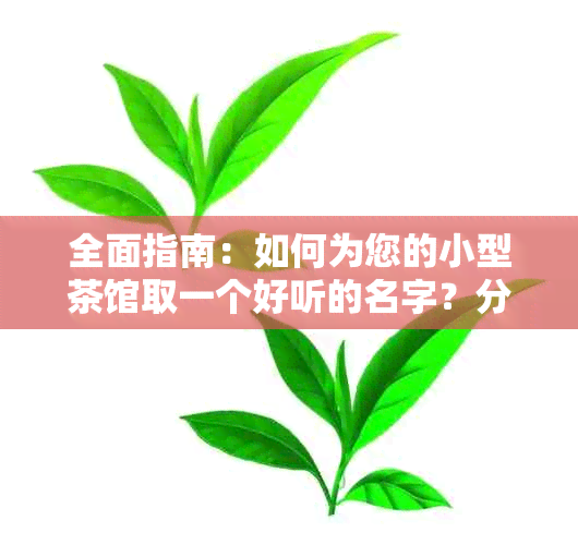 全面指南：如何为您的小型茶馆取一个好听的名字？分享10个建议和成功案例