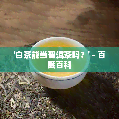 '白茶能当普洱茶吗？' - 百度百科