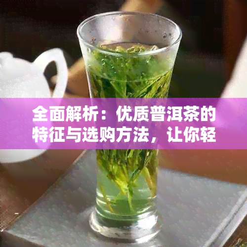 全面解析：优质普洱茶的特征与选购方法，让你轻松辨别好茶