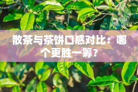 散茶与茶饼口感对比：哪个更胜一筹？