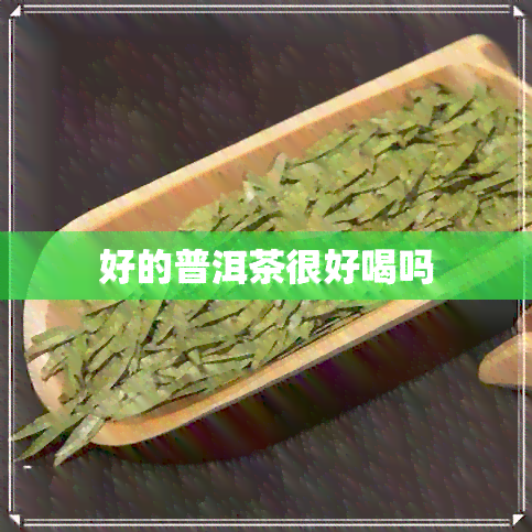 好的普洱茶很好喝吗