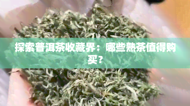 探索普洱茶收藏界：哪些熟茶值得购买？